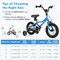 Blue Dual Brakes Kids Bicycle with Carbon Steel Frame and Training Wheels Perfect for All Terrains